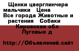 Щенки цвергпинчера мальчики › Цена ­ 25 000 - Все города Животные и растения » Собаки   . Кировская обл.,Луговые д.